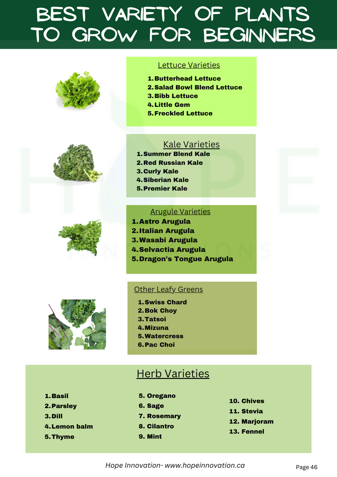 Best veriety of plants Grow for beginner
