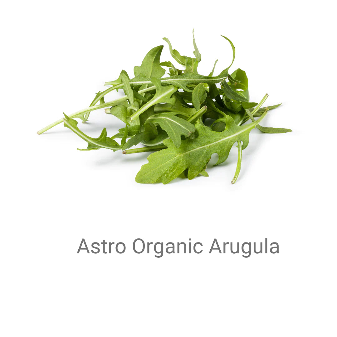 ARUGULA-ASTRO ORGANIC