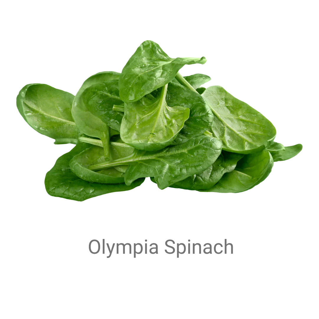 Spinach-Olympia
