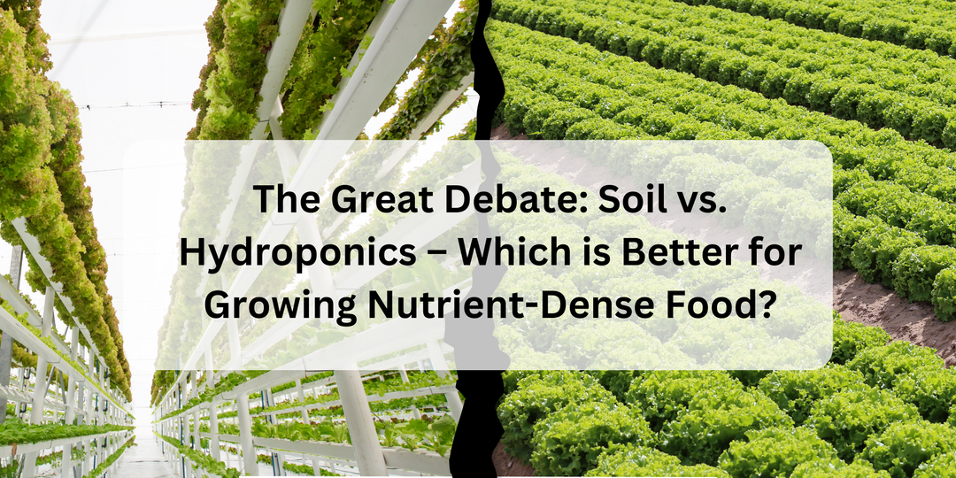 Soil vs. Hydroponics – Which is Better for Growing Nutrient-Dense Food?