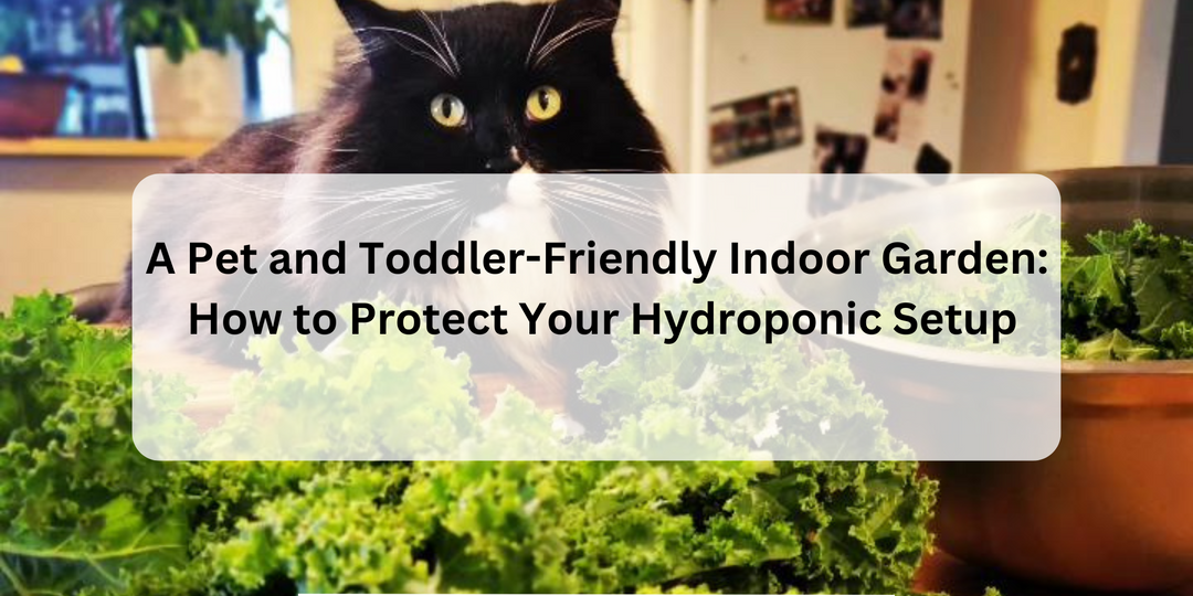 A Pet and Toddler-Friendly Indoor Garden: How to Protect Your Hydroponic Setup