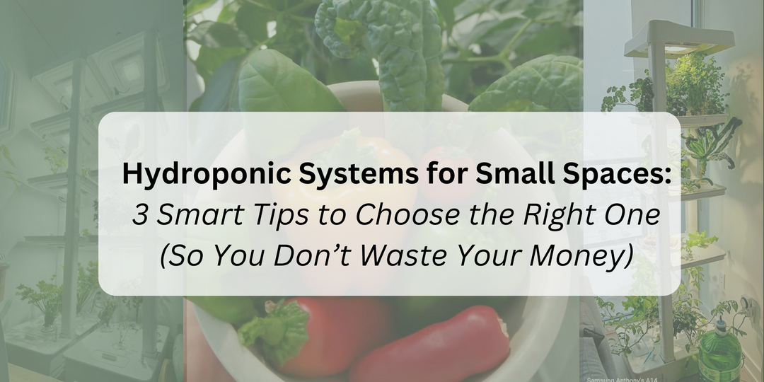 Hydroponic systems for small spaces: 3 smart tips to choosing the right system in your apartment, condo, house or basement