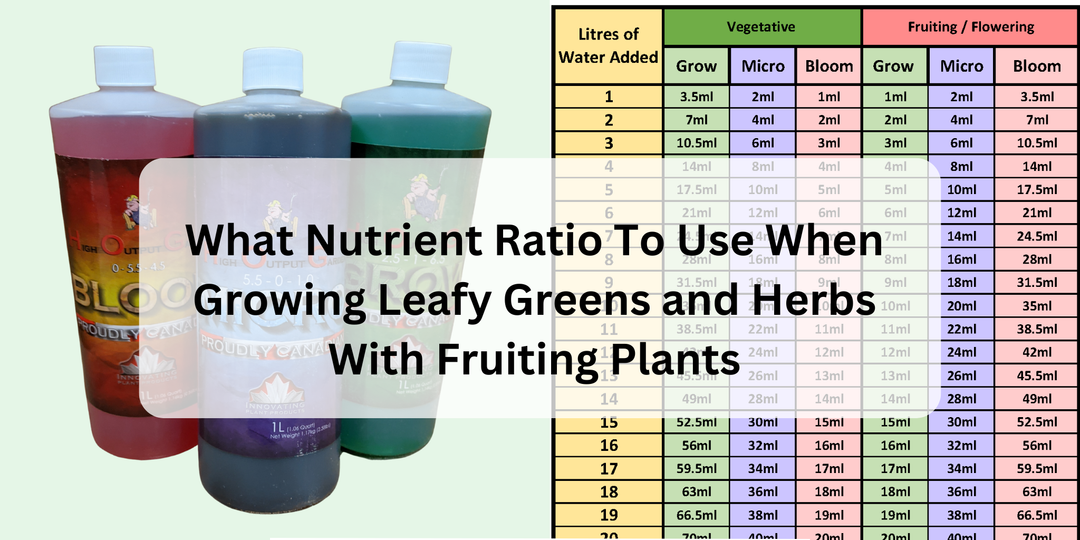 What Nutrient Ratio To Use When Growing Leafy Greens and Herbs With Fruiting Plants