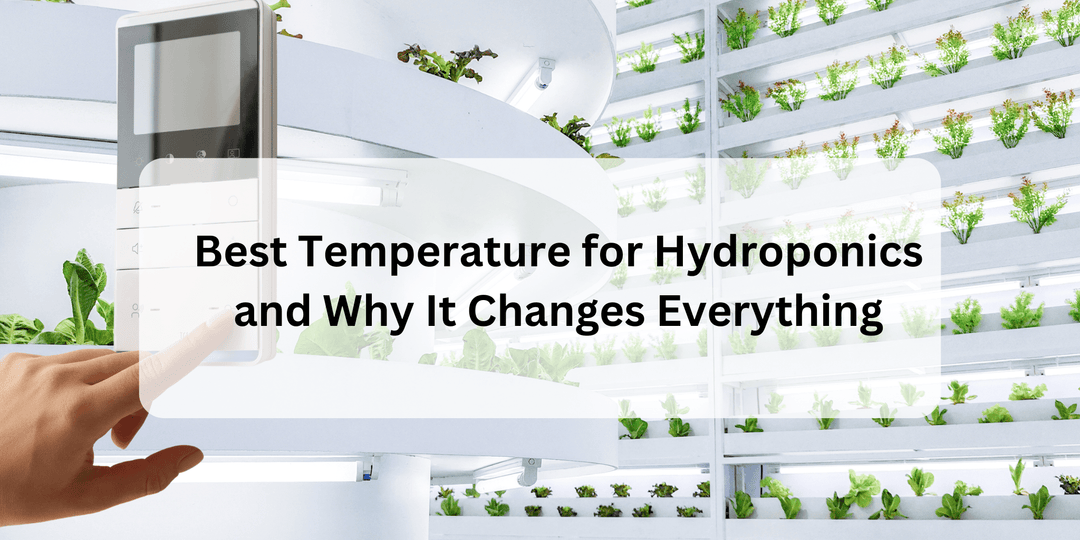 Best Temperature for Hydroponics and Why It Changes Everything - Hope Innovations