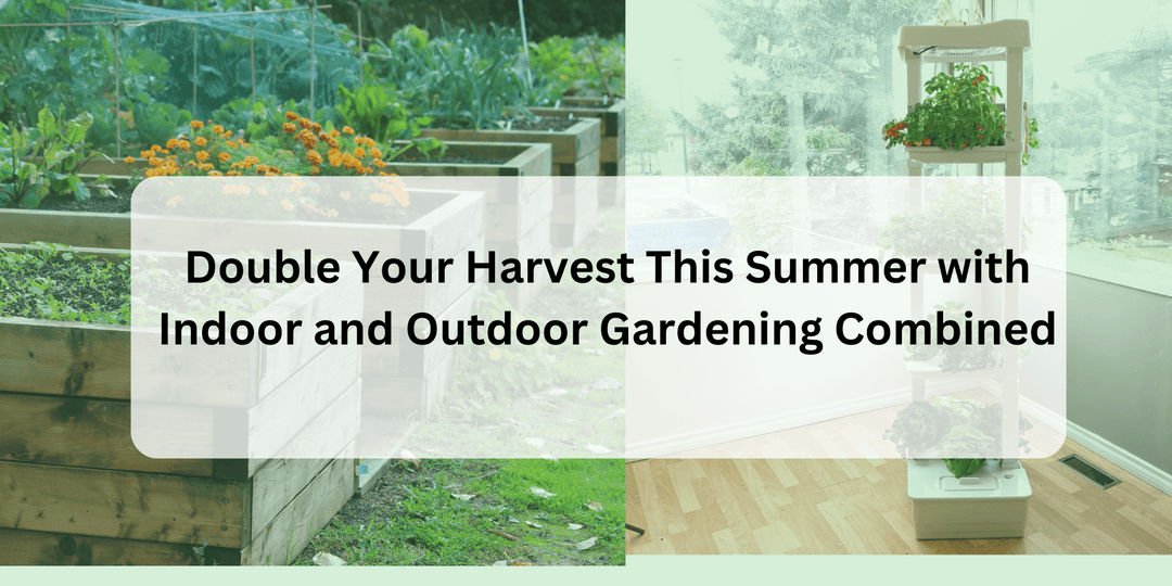 Double Your Harvest This Summer with Indoor and Outdoor Gardening Combined - Hope Innovations