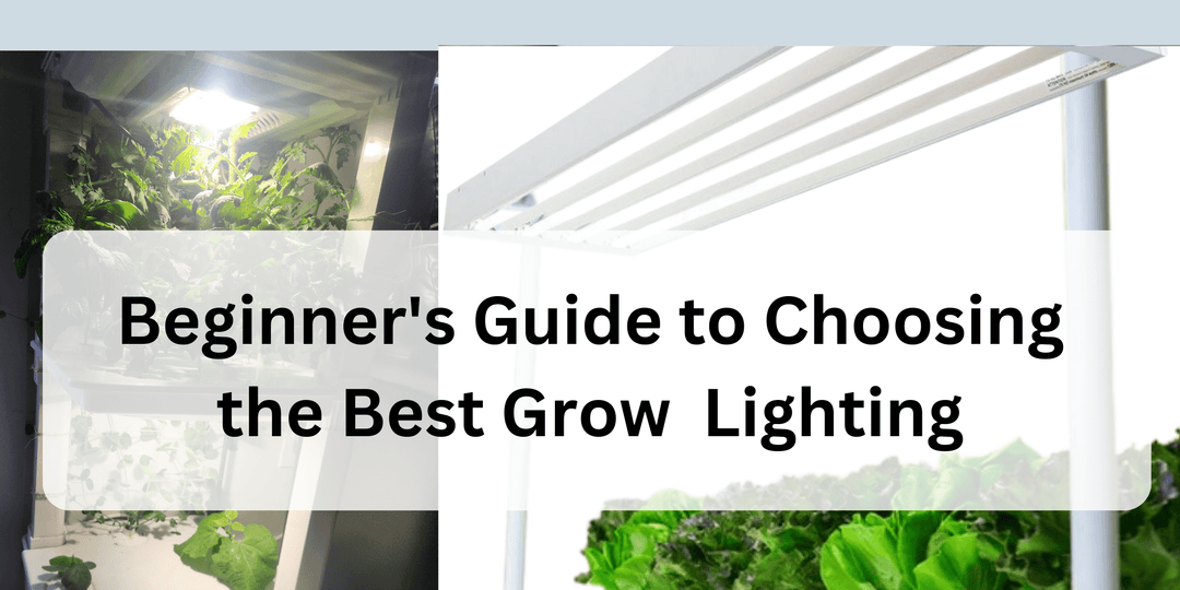 Grow Lights 101: The Ultimate Beginner's Guide to Choosing the Best Lighting for Your Hydroponic Garden - Hope Innovations