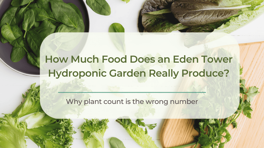 How Much Food Does an Eden Tower Hydroponic Garden Actually Produce? - Hope Innovations