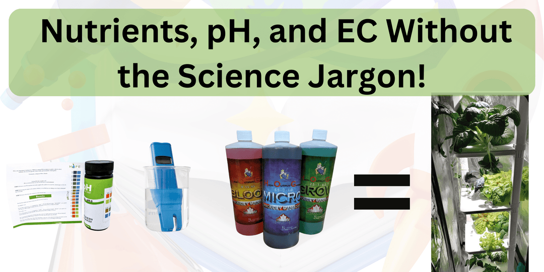 Master Hydroponic Growing: Nutrients, pH, and EC Without the Science Jargon! - Hope Innovations