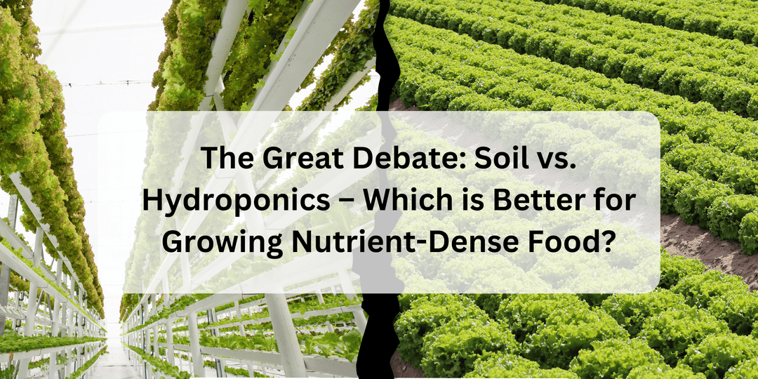 Soil vs. Hydroponics – Which is Better for Growing Nutrient-Dense Food? - Hope Innovations