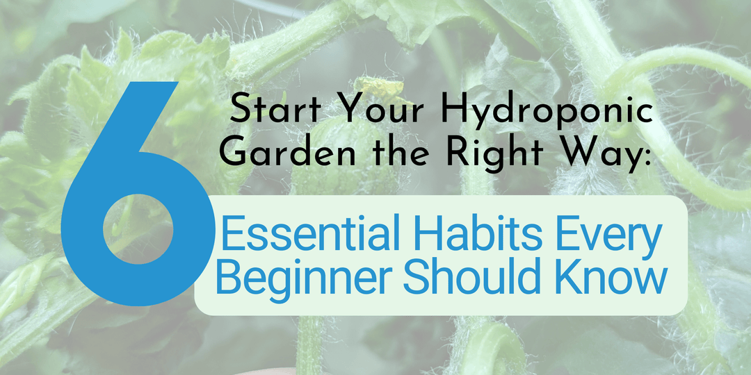Start Your Hydroponic Garden the Right Way: 6 Essential Habits Every Beginner Should Know - Hope Innovations