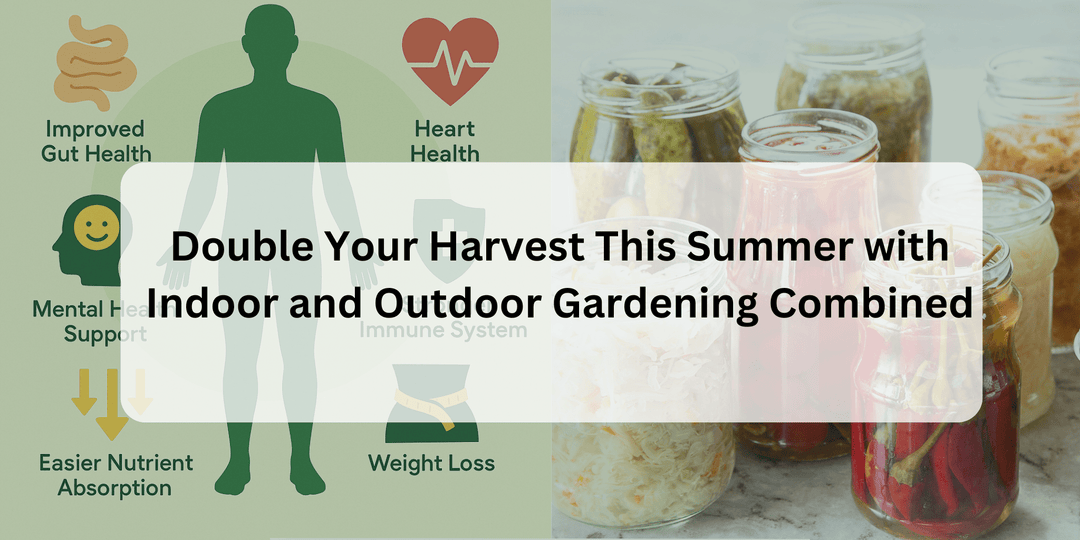 Transform Your Health with Homegrown Food Fermentation - Hope Innovations