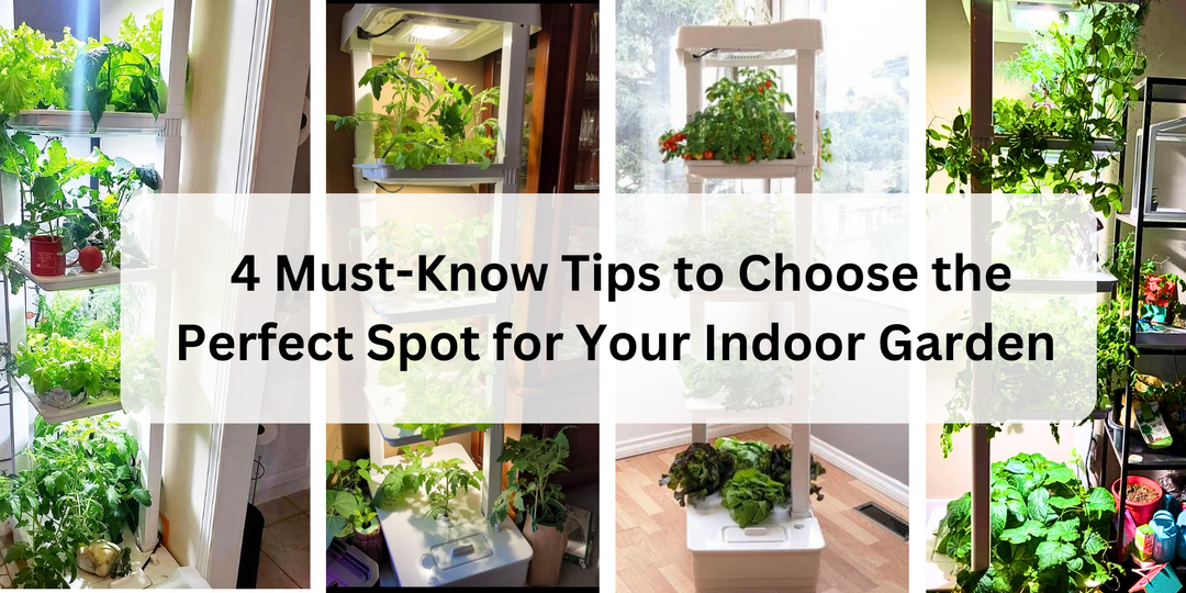 Unlock Hydroponic Success: 4 Must-Know Tips to Choose the Perfect Spot for Your Indoor Garden - Hope Innovations