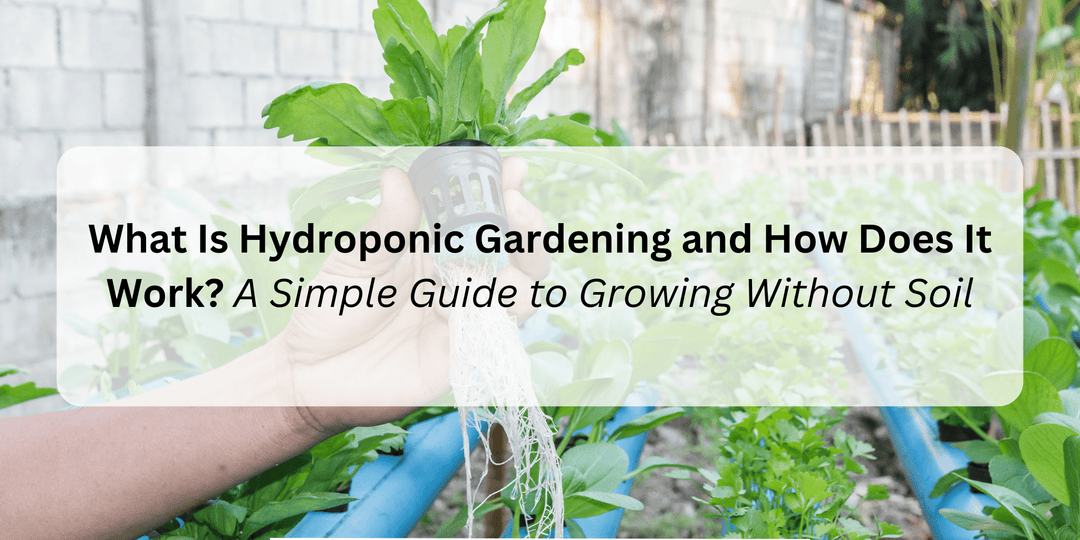 What Is Hydroponic Gardening and How Does It Work? A Simple Guide to Growing Without Soil - Hope Innovations