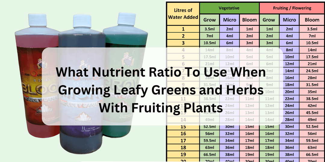 What Nutrient Ratio To Use When Growing Leafy Greens and Herbs With Fruiting Plants - Hope Innovations