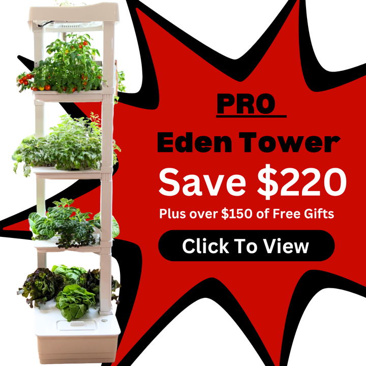 Pro Eden Tower