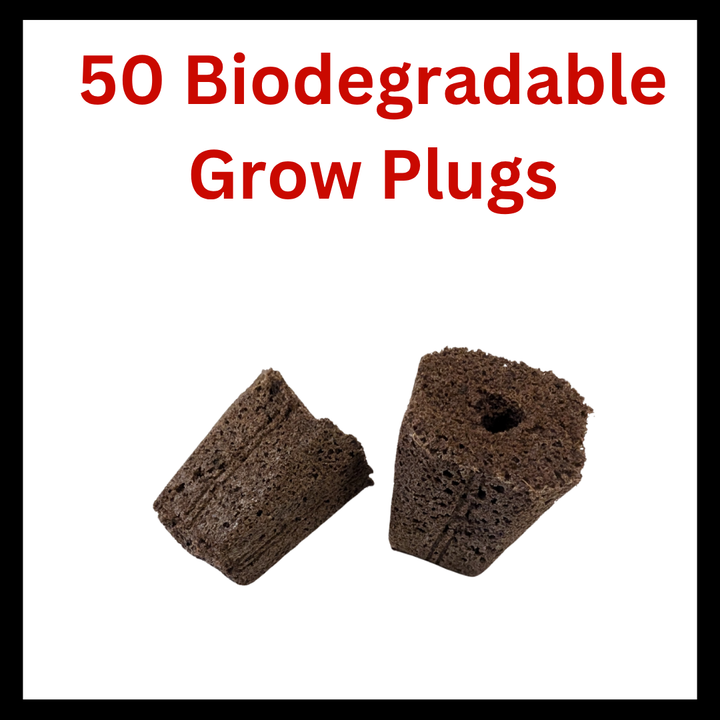 50 Biodegradable Qplugs