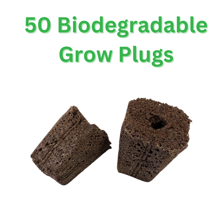 50 Biodegradable Qplugs