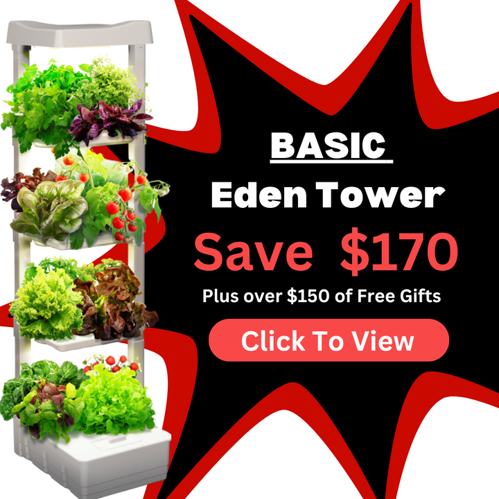 Basic Eden Tower