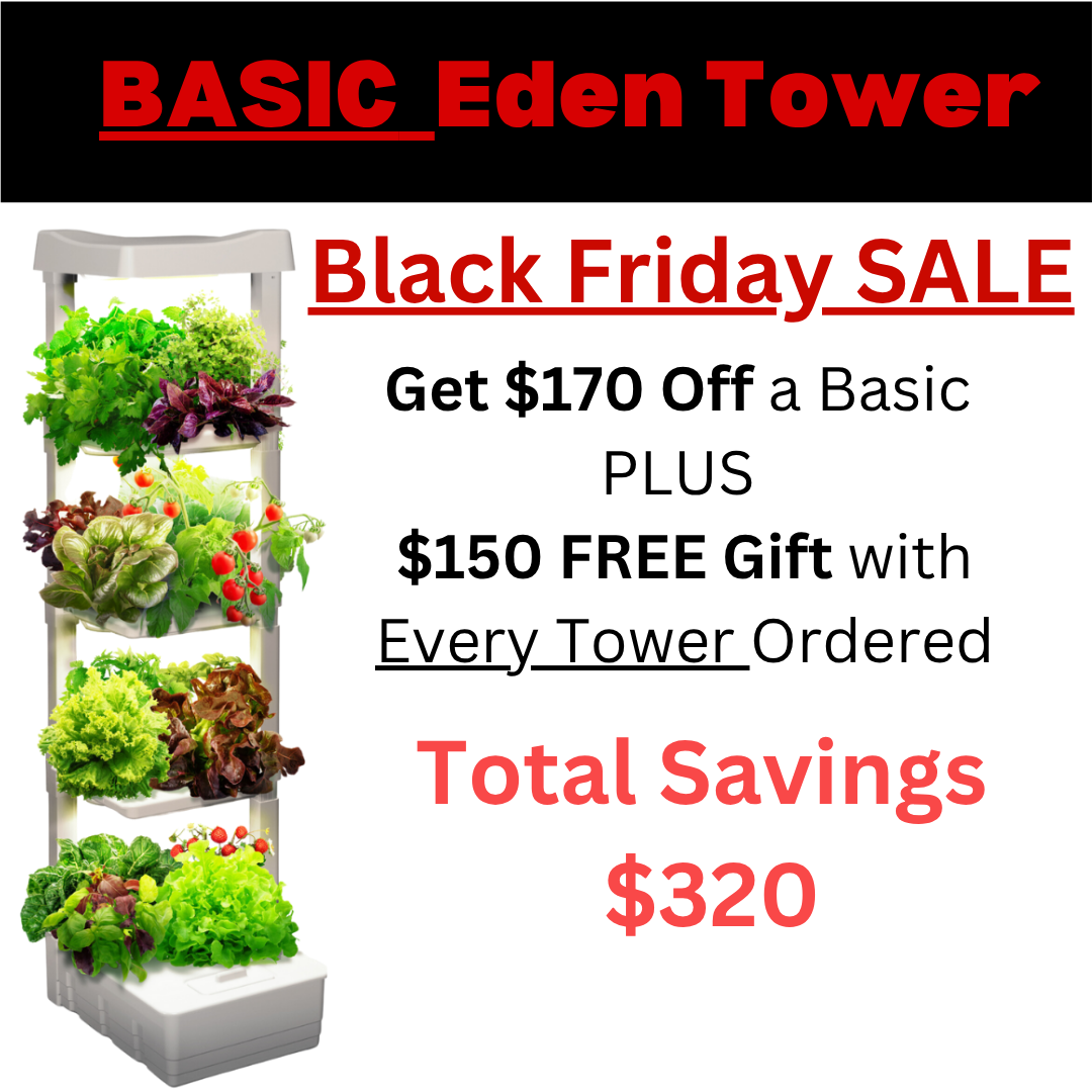 Basic Eden Tower