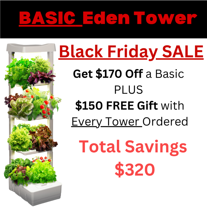 Basic Eden Tower