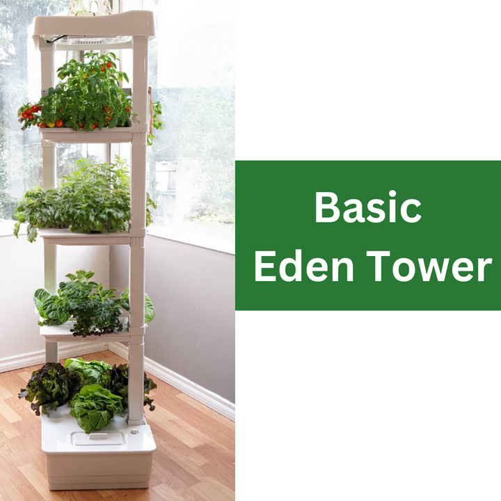 Basic Eden Tower