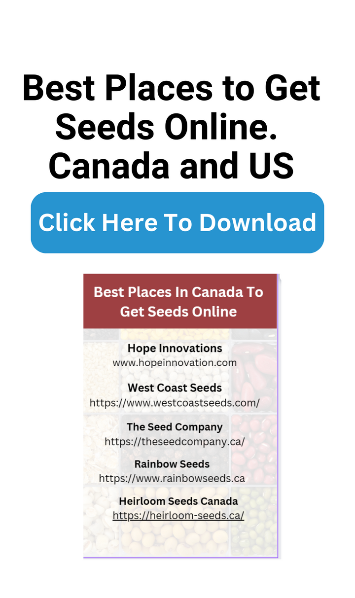 Best Places to get seeds online in north America