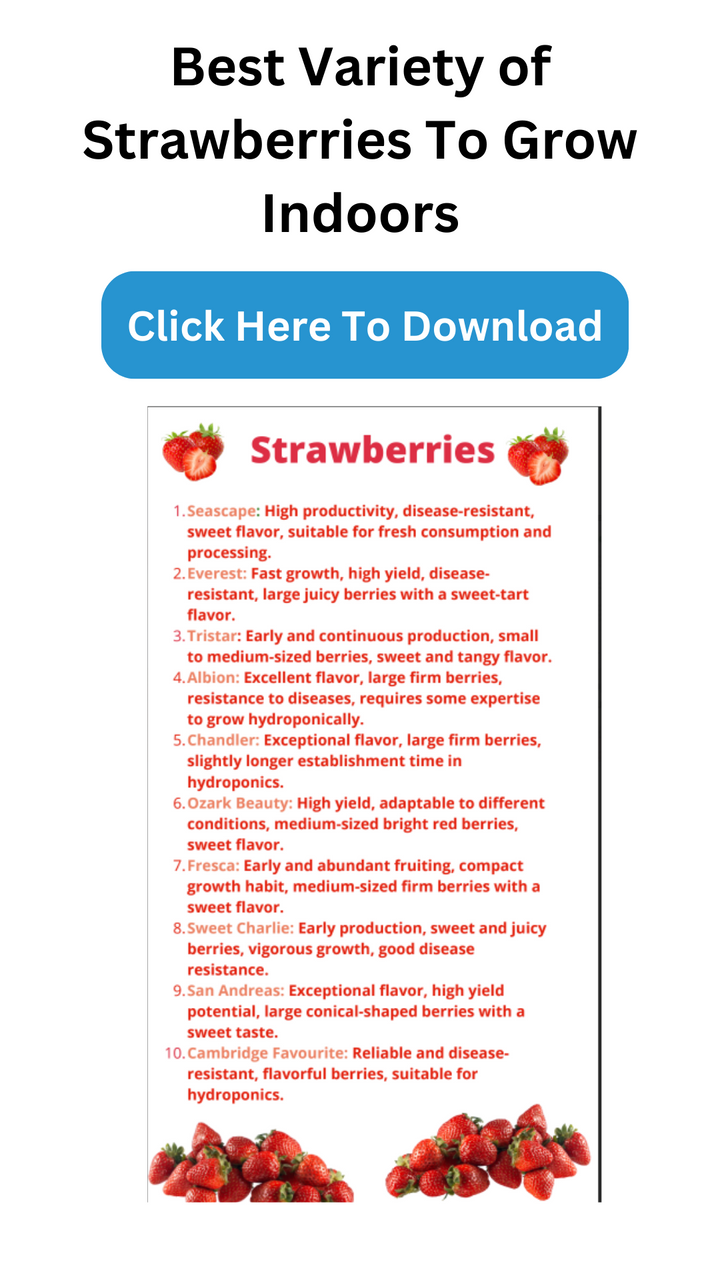 Here is a list of the strawberries that are best for hydroponic indoor gardening