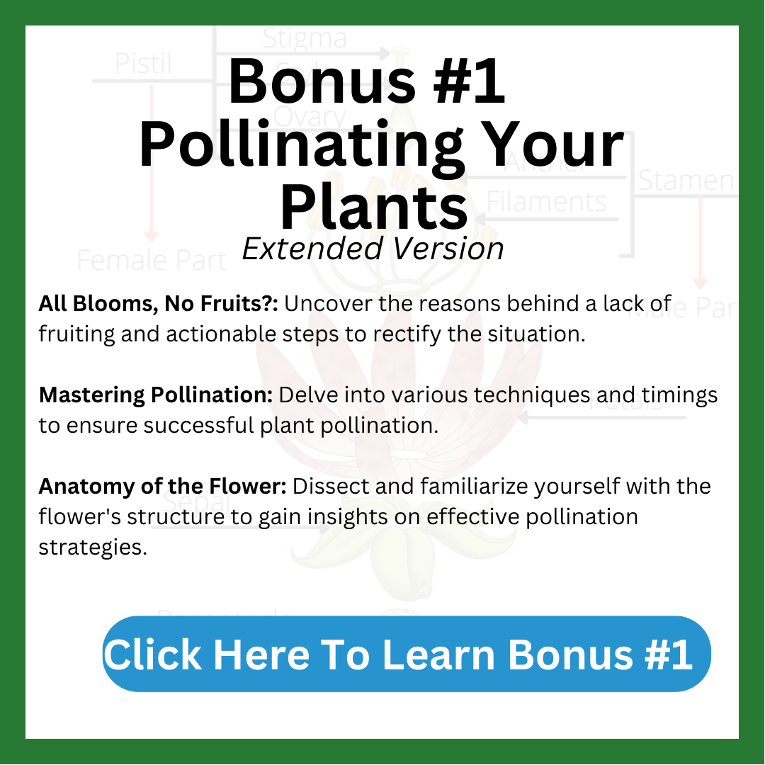 Bonus step- pollinating your plants in your hydroponic garden. How to pollinate plants in an indoor setup with no bugs. Solve the problem you may have with a bunch of flowers and no fruiit. Different pollination techniques and timing, also we show the anatomy of the flower so you can properly pollinate your plants