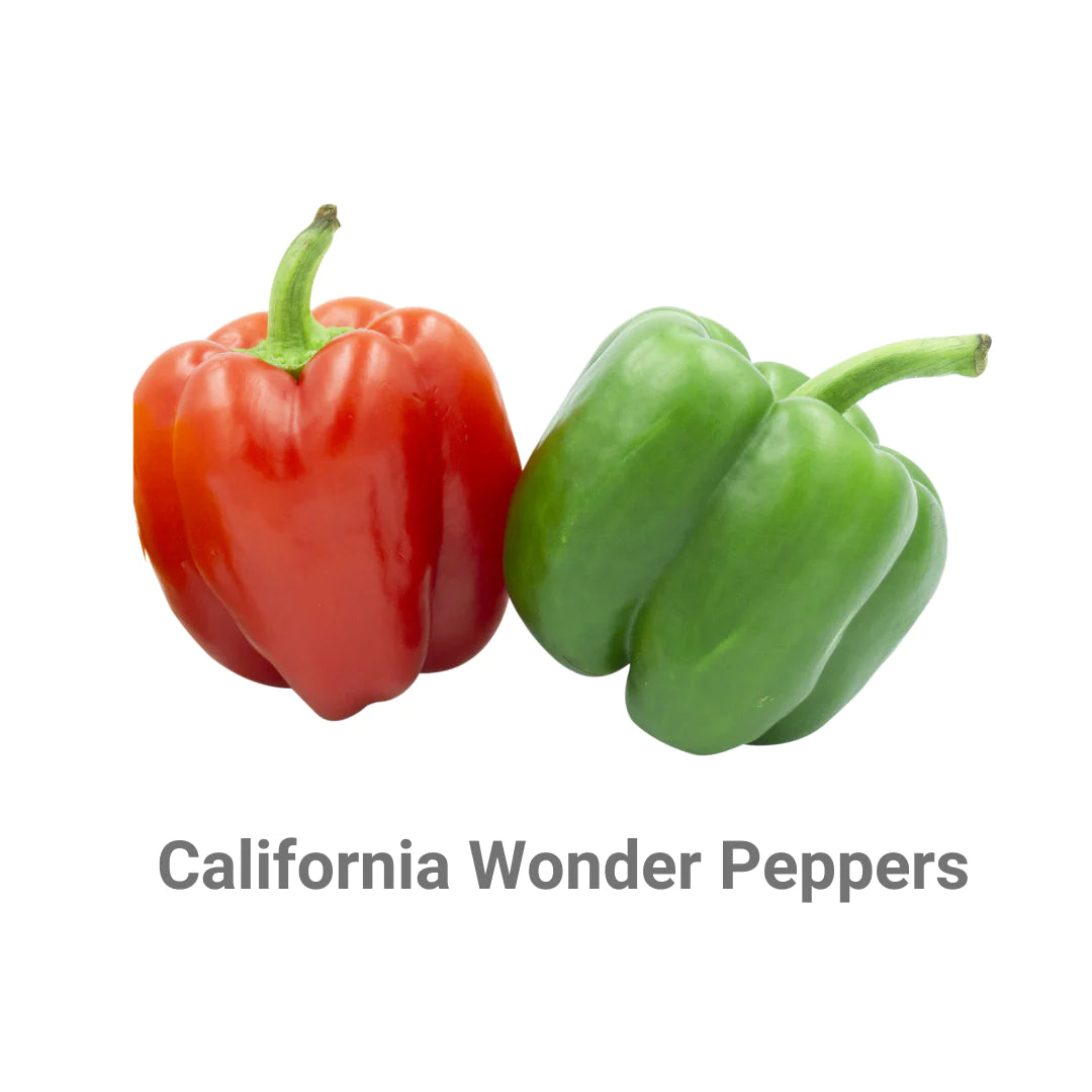Peppers - California Wonder