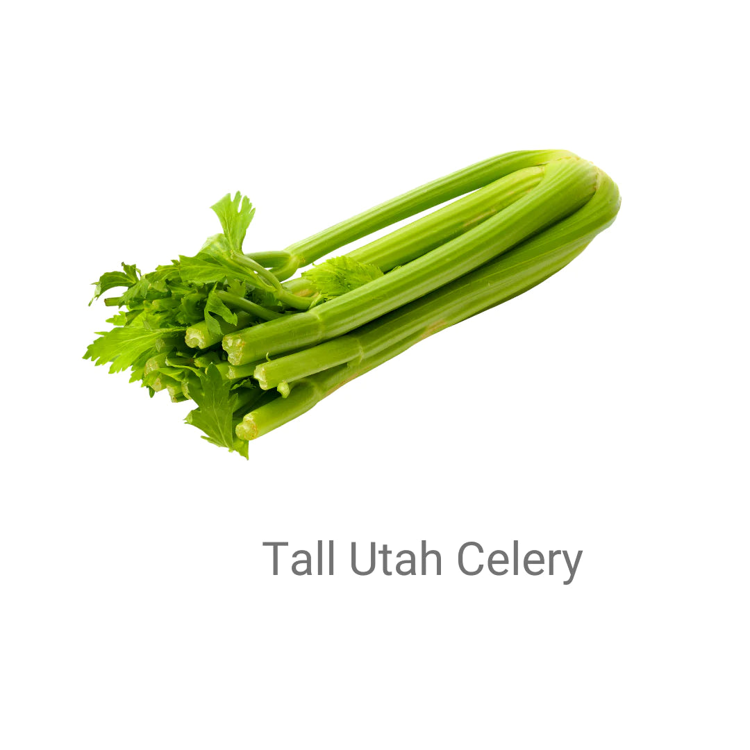 Celery- Tall Utah