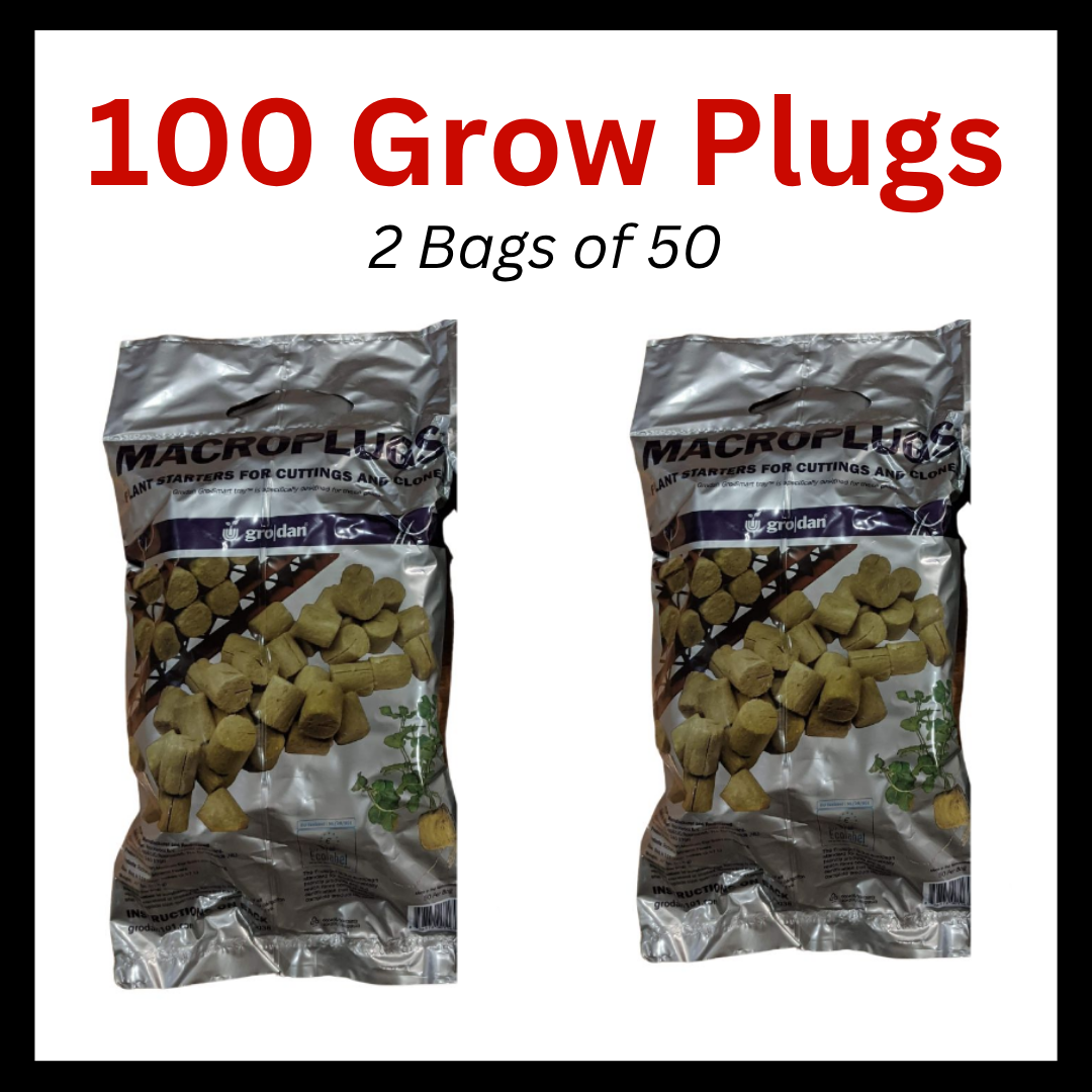 100 Grodan Grow Plugs with Slit 1.5" (2 Bags of 50)