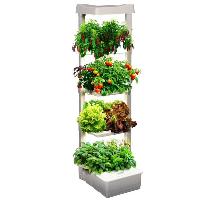 Basic Eden Tower