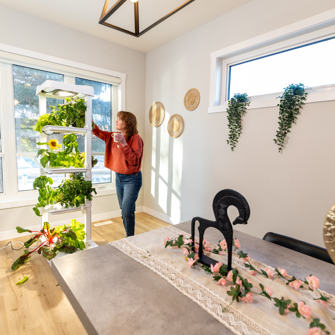 The Basic Eden Tower indoor garden is in a Kitching growing sunflower, lettuce, herbs and much more. 