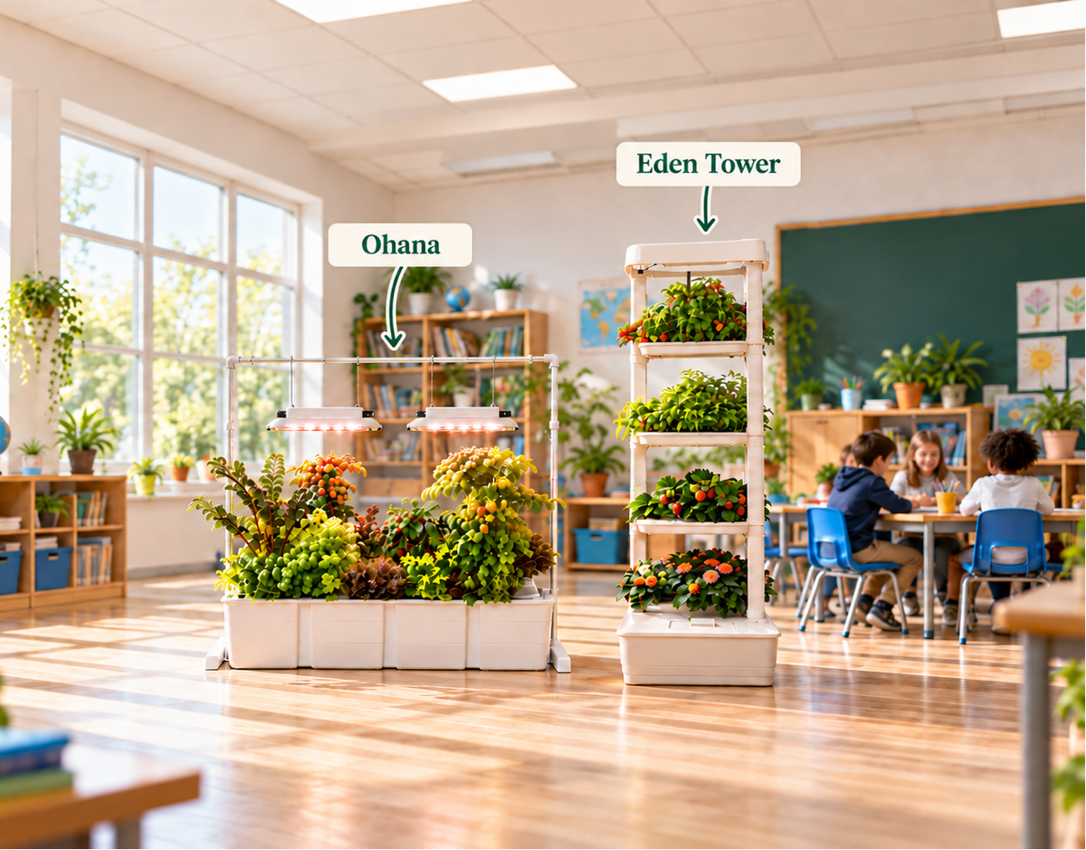 Eden Tower and Ohana hydroponic home systems in a classroom growing all sort of fresh food