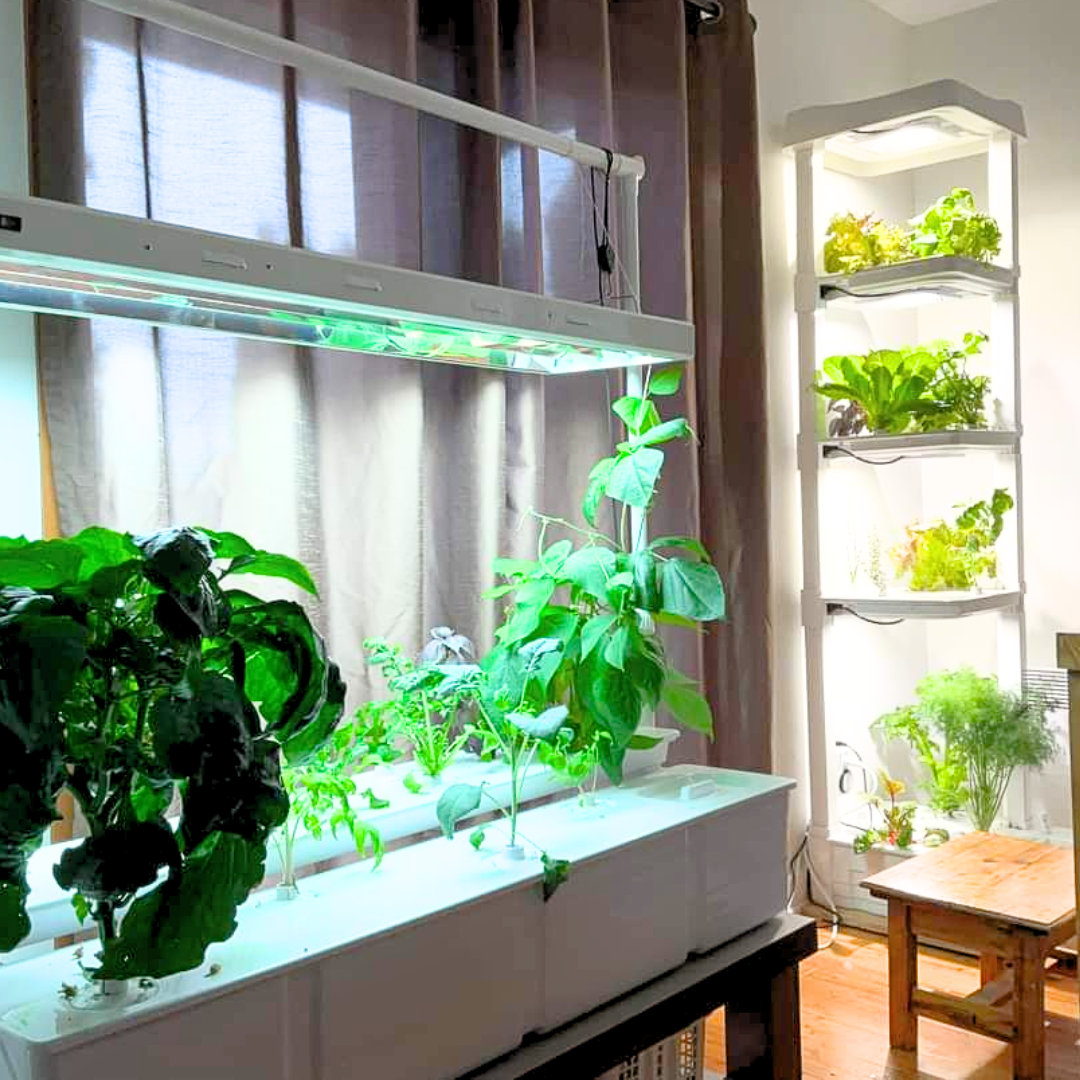 Indoor Garden Bundle