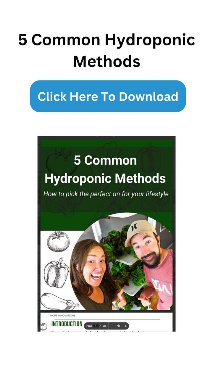 5 of the most common hydroponic methods best for beginners