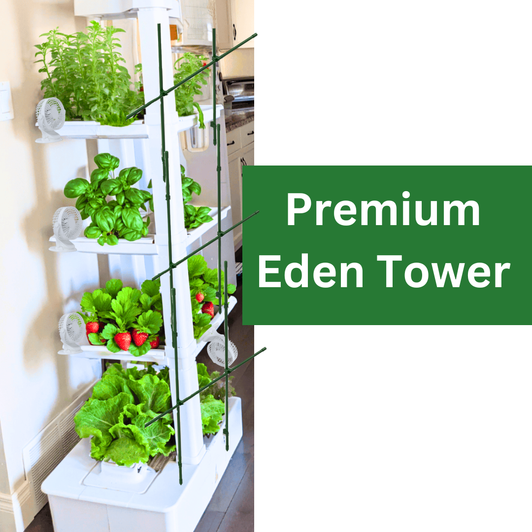 PREMIUM Eden Tower NT