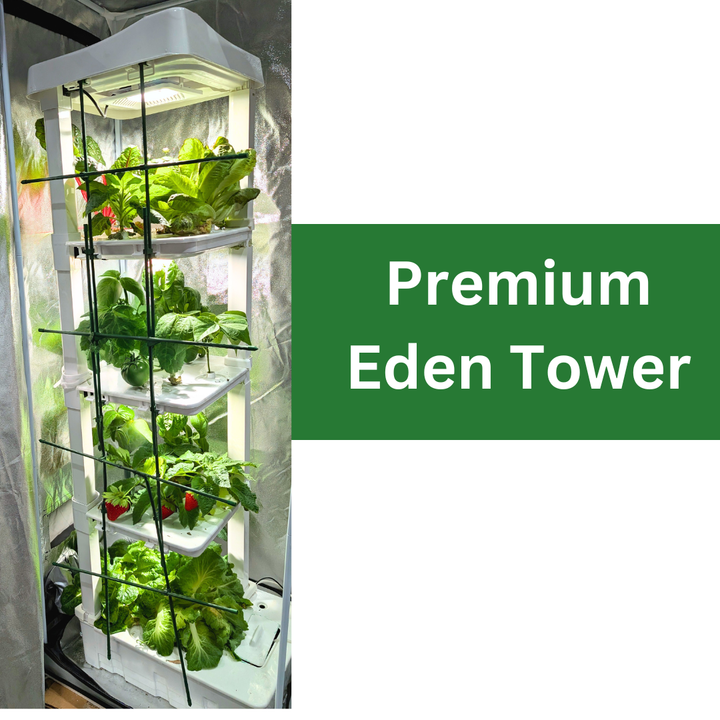PREMIUM Eden Tower