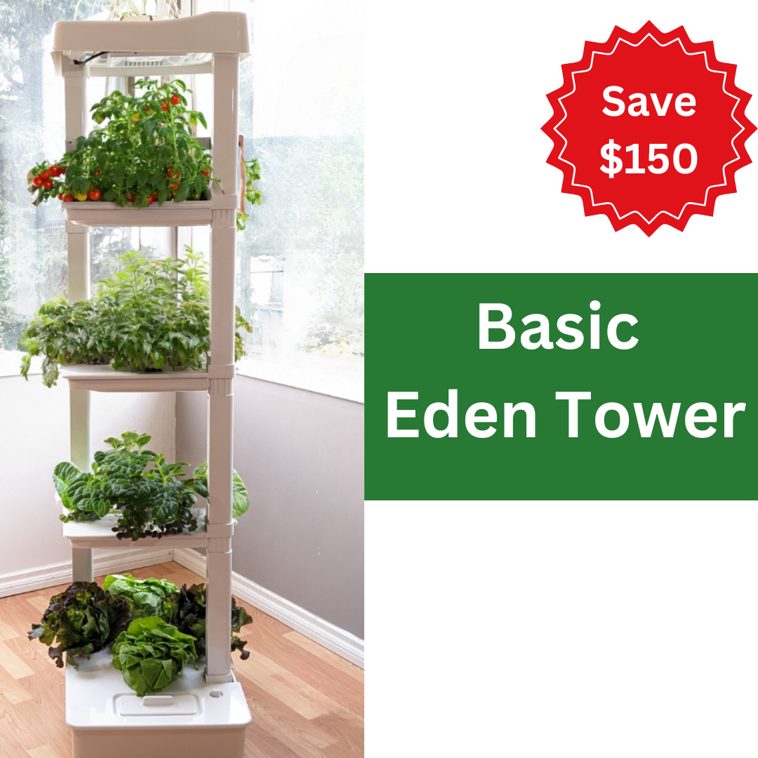Basic Eden Tower