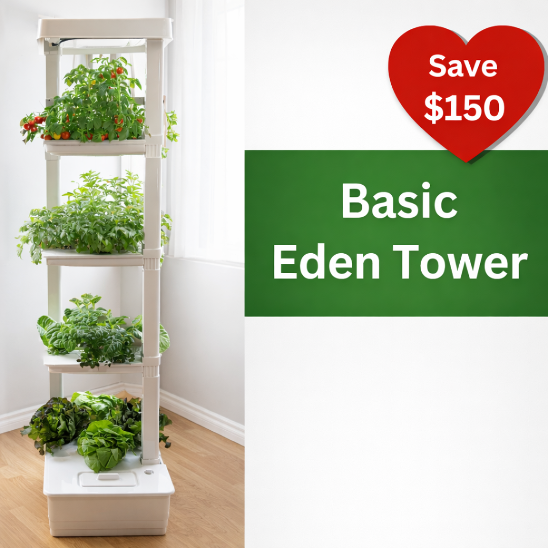 Basic Eden Tower