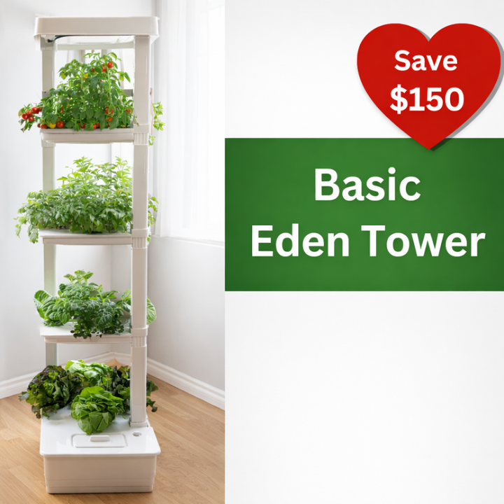 Basic Eden Tower