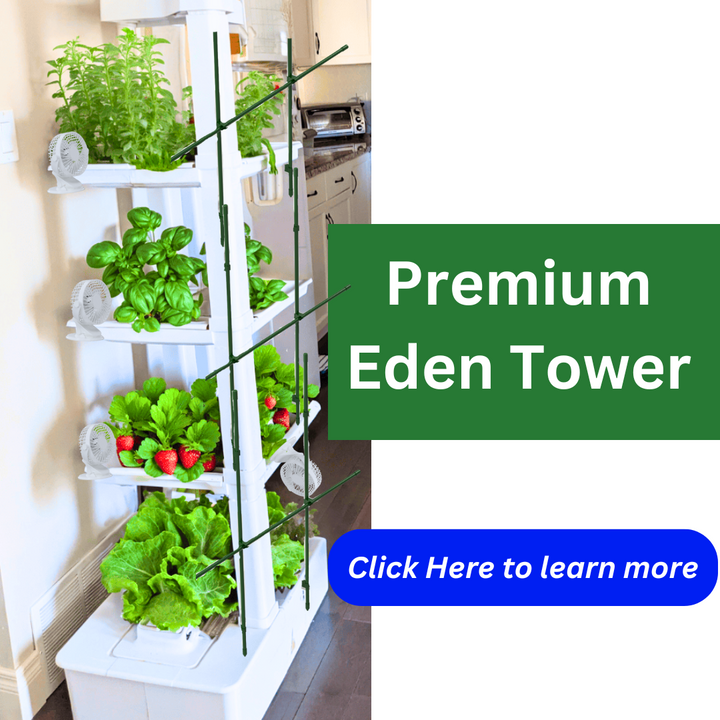 PREMIUM Eden Tower NT