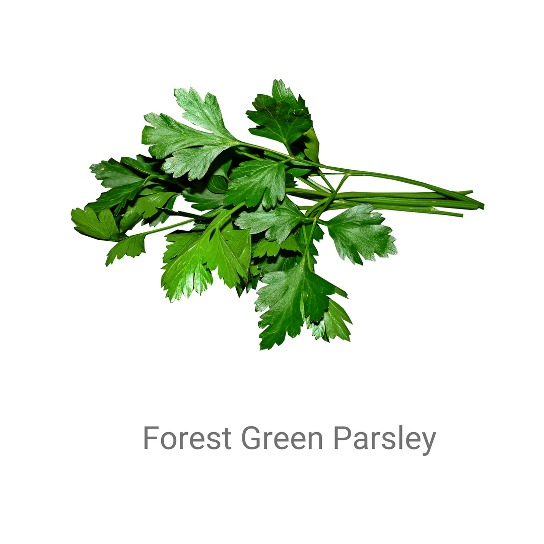 Parsley- Forest Green