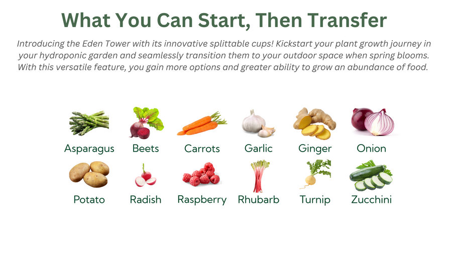 Eden Tower 4 Tier Hope Innovations