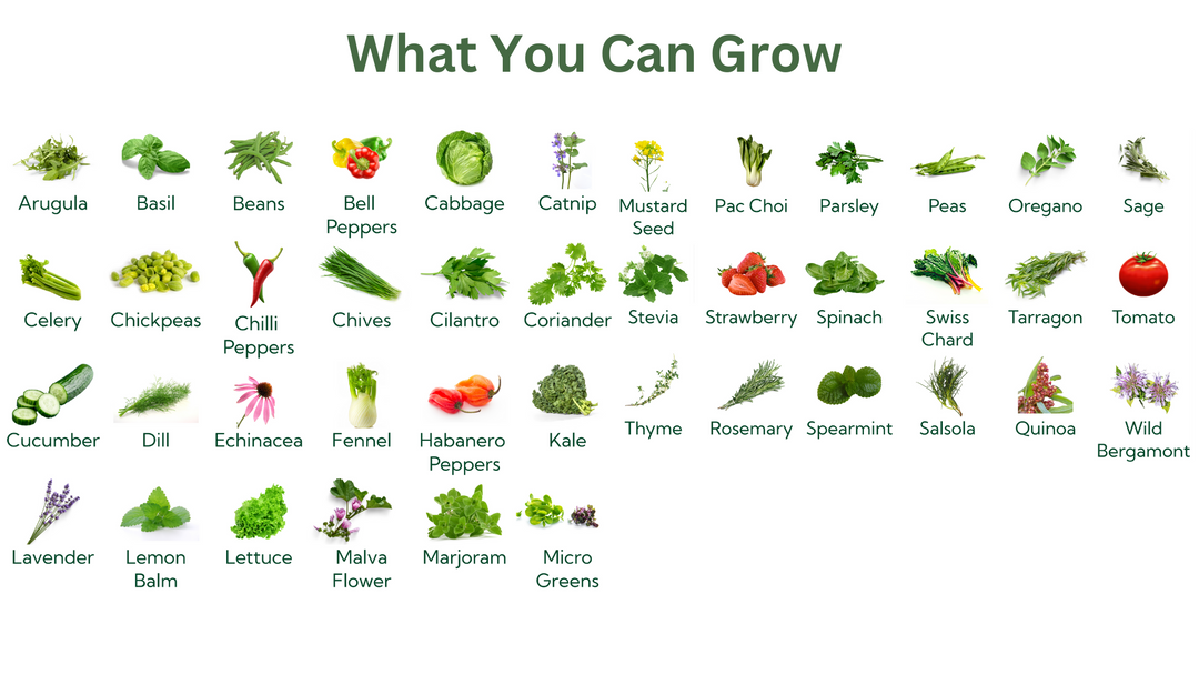 Eden Tower 4 Tier Hope Innovations