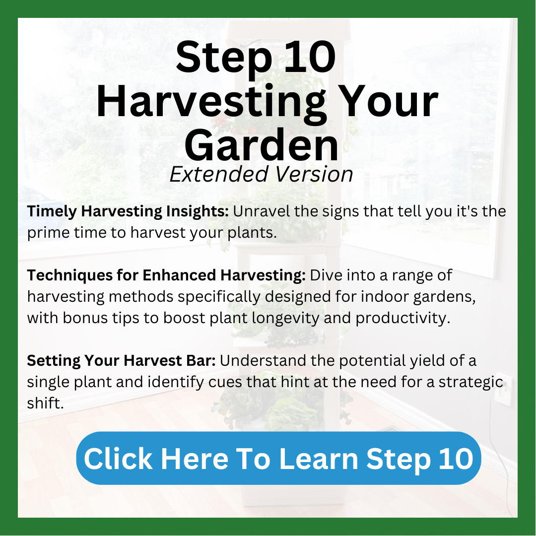 Step 10  Harvesting Garden – Hope Innovations. How to tell that your hydroponic plants are ready to harvest. we share the different techniques for enhancing harvest and ways you can harvest differently. 