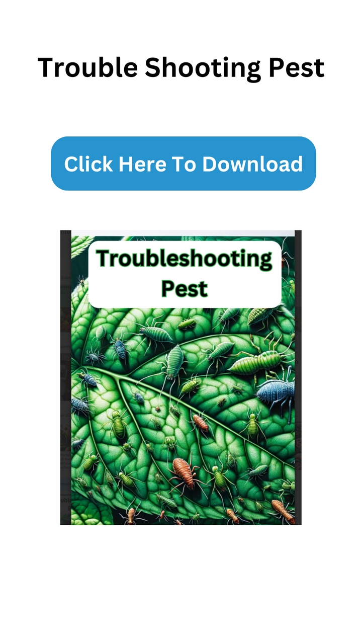 How to easily trouble shoot pest in your hydroponic setup