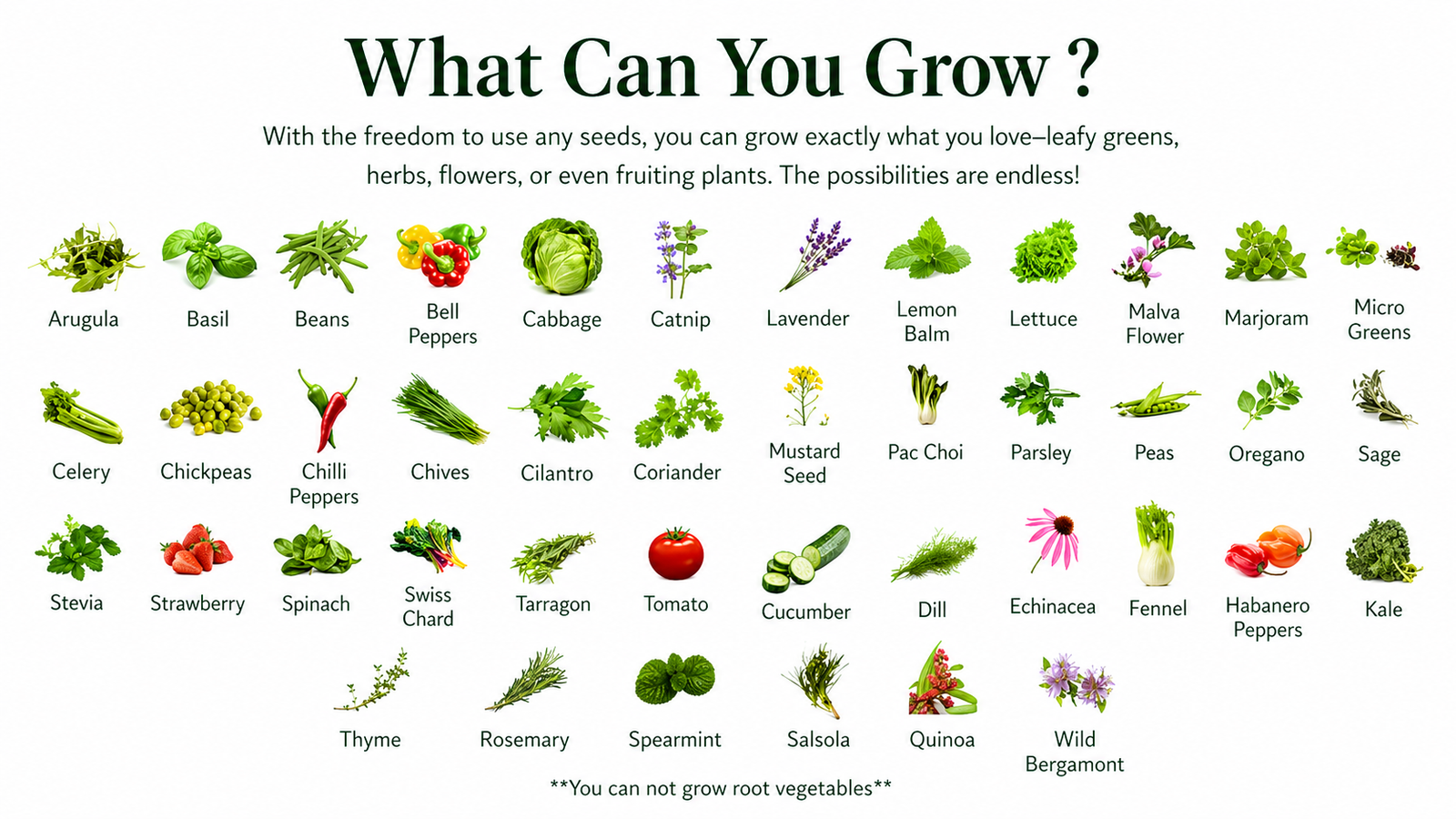 A list of the fruits and vegetables you ca n grow in the Eden Garden Hydroponic systems