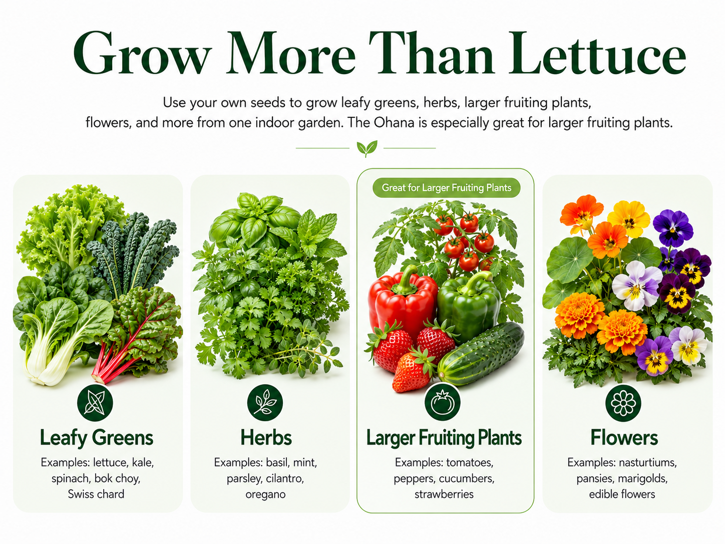 Promotional graphic for Ohana and what you can grow in it. leafy greens, herbs, fruits, and flowers plants.
