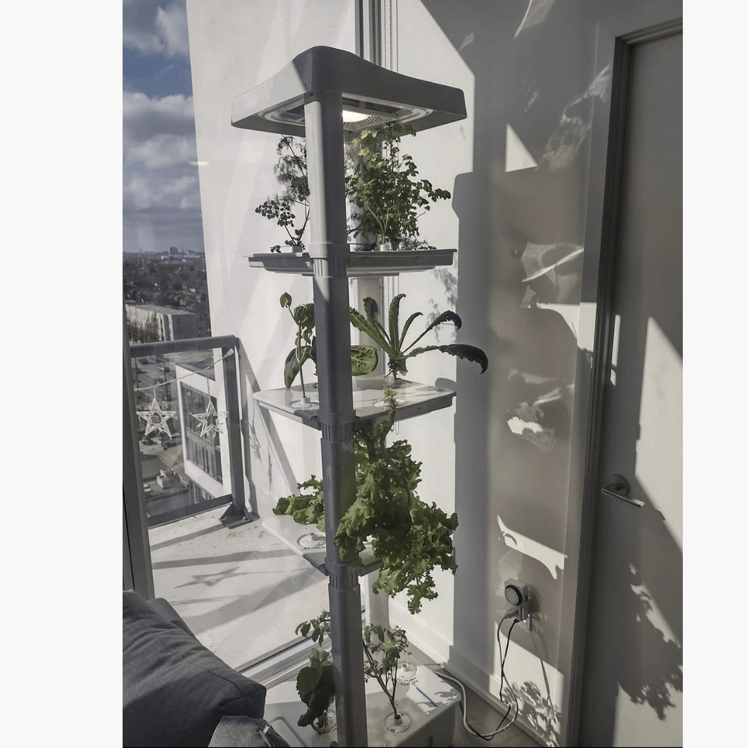 Basic Eden Tower in a condo in the city growing lettuce, herbs and tomatoes - Hope Innovations